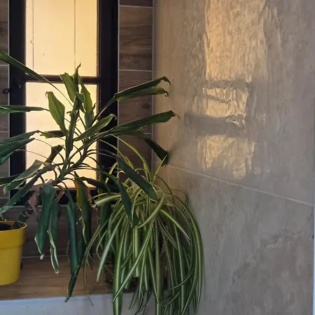Independent With Kitchen And Bathroom Apartament *